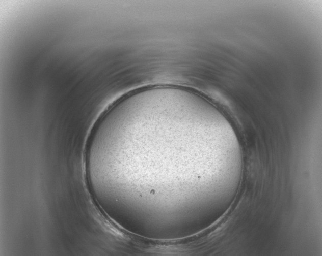 X0000067511280200604150124