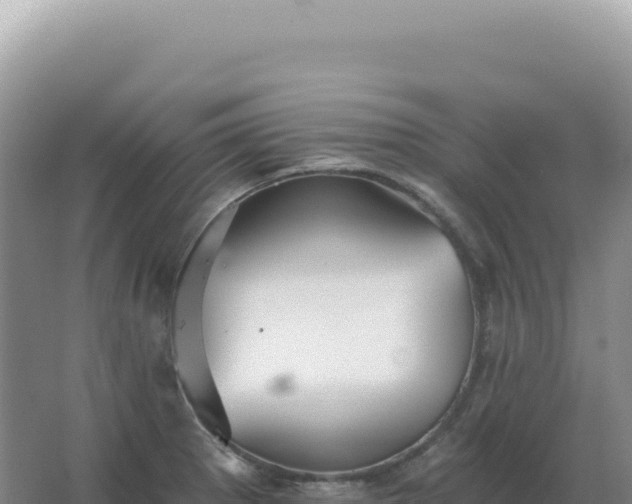 X0000067511281200604150124