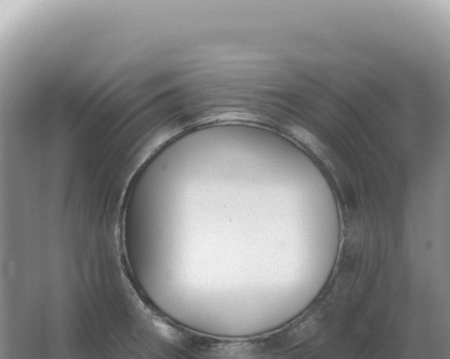 X0000067511282200604150124