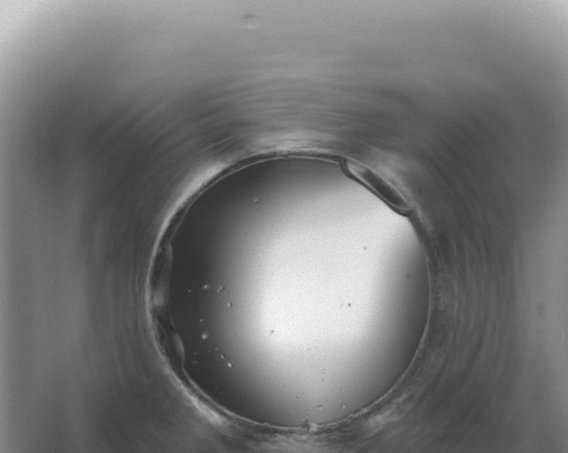 X0000067511285200604150124