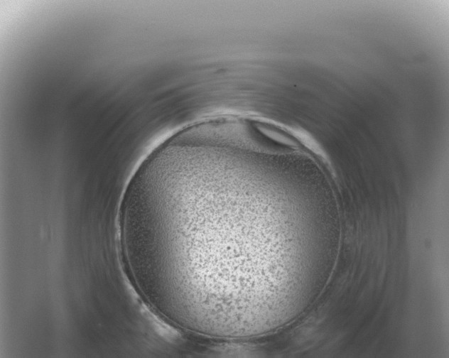 X0000067511287200604150124