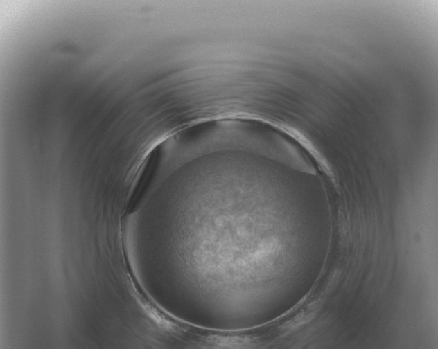 X0000067511289200604150124