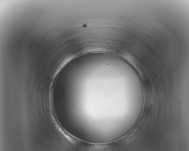 X0000067511290200604150124