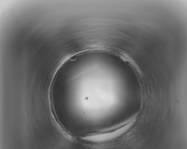 X0000067511291200604150124