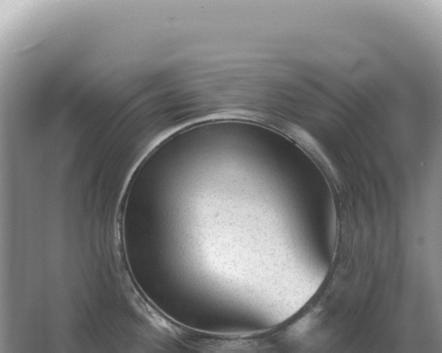 X0000067511292200604150124