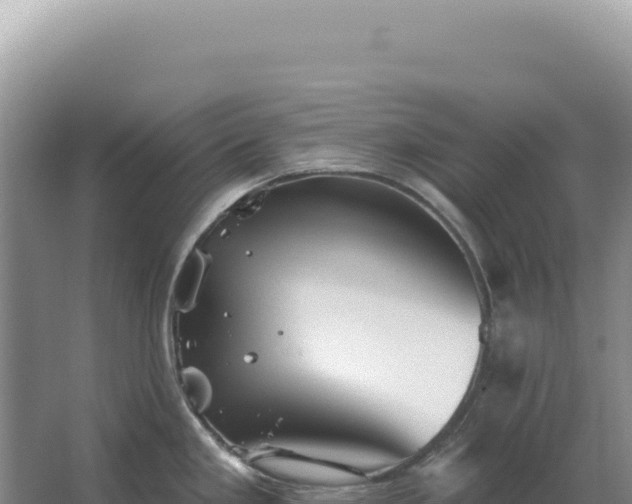 X0000067511293200604150124