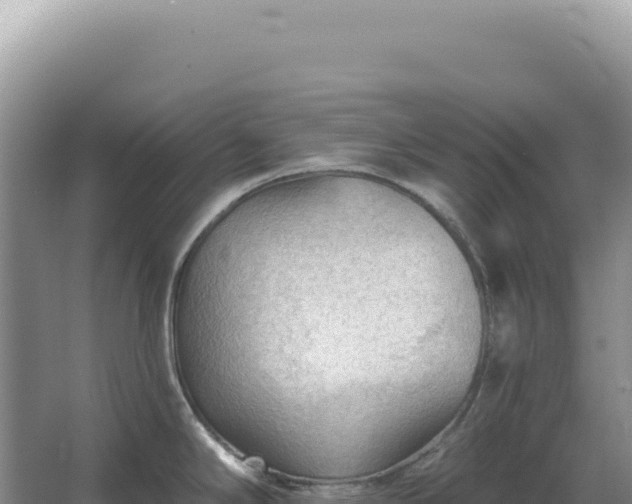 X0000067511294200604150124