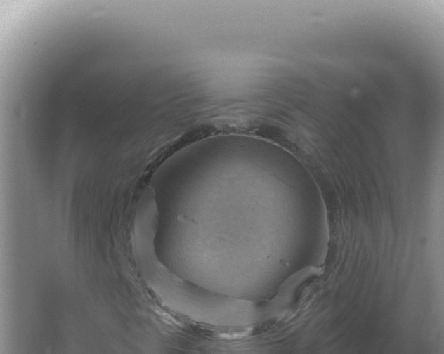 X0000067511297200604150123