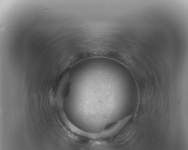 X0000067511298200604150123