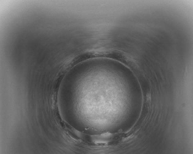 X0000067511300200604150123