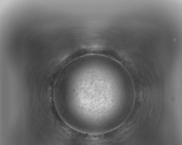 X0000067511301200604150123