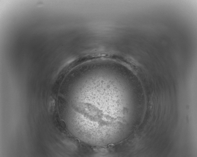 X0000067511302200604150123