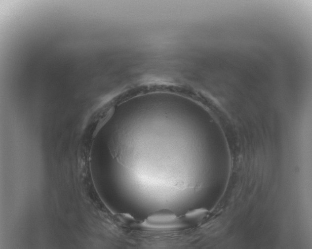 X0000067511303200604150123