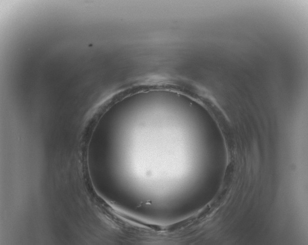 X0000067511304200604150123