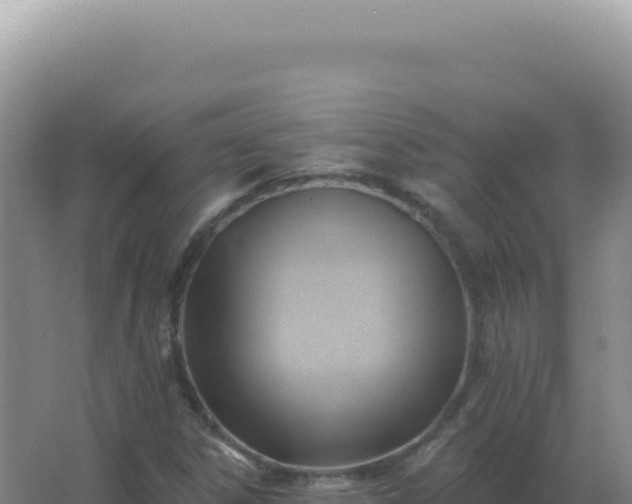 X0000067511306200604150123