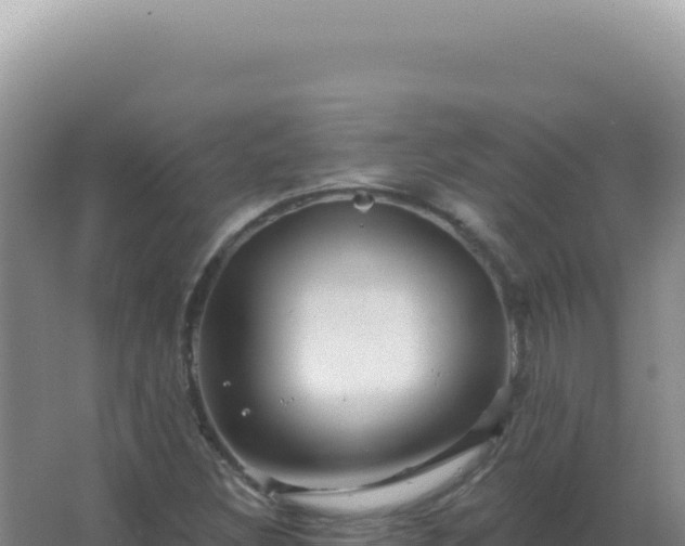 X0000067511308200604150123