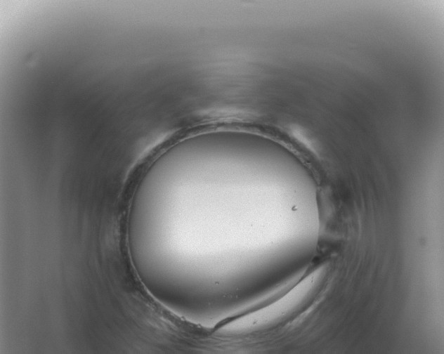 X0000067511309200604150123