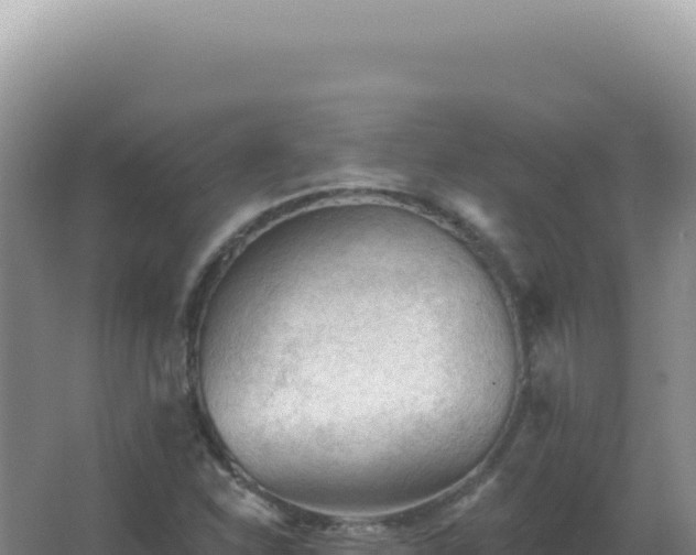 X0000067511310200604150123