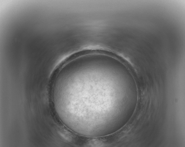 X0000067511311200604150123