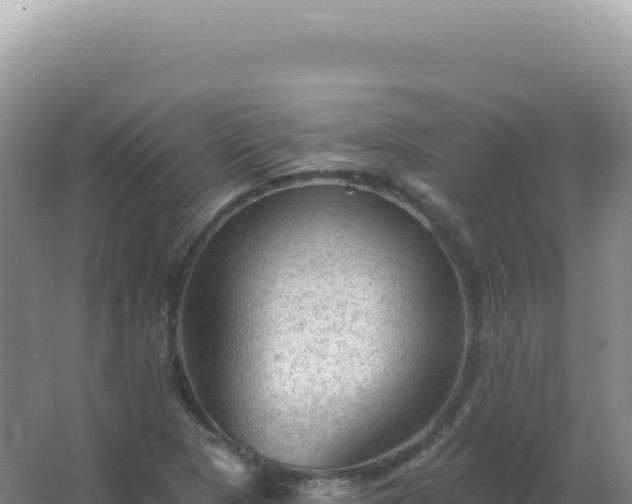 X0000067511313200604150123