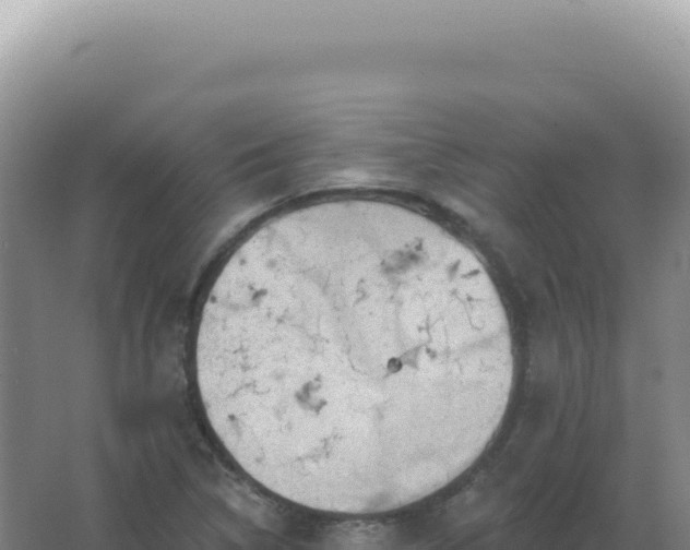 X0000067511314200604150123