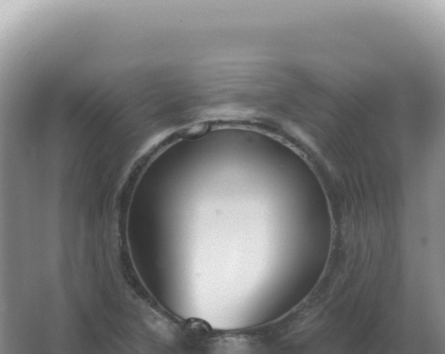 X0000067511315200604150123