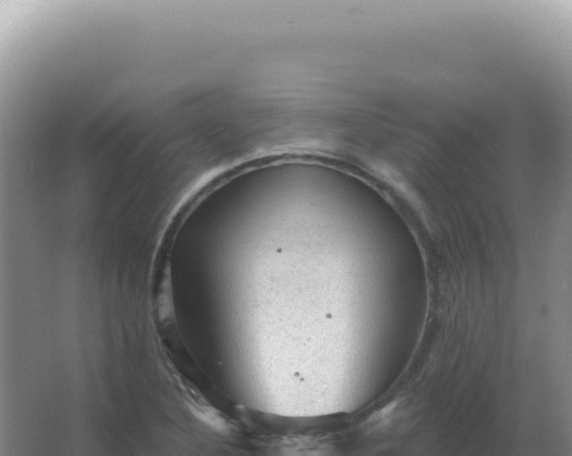 X0000067511316200604150123