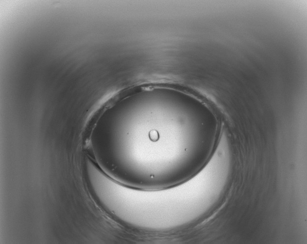 X0000067511317200604150123