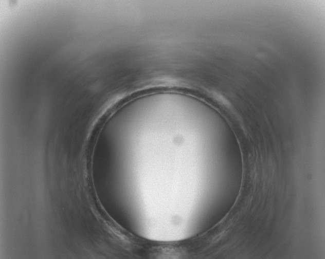 X0000067511318200604150123