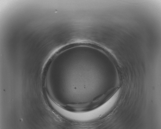 X0000067511319200604150123