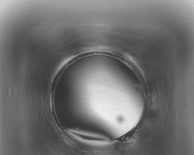 X0000067511320200604150123