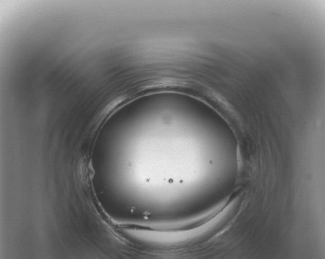 X0000067511321200604150123