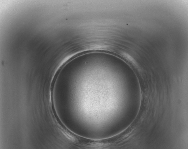 X0000067511324200604150123