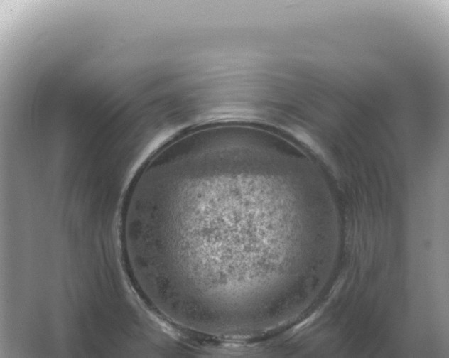 X0000067511325200604150123