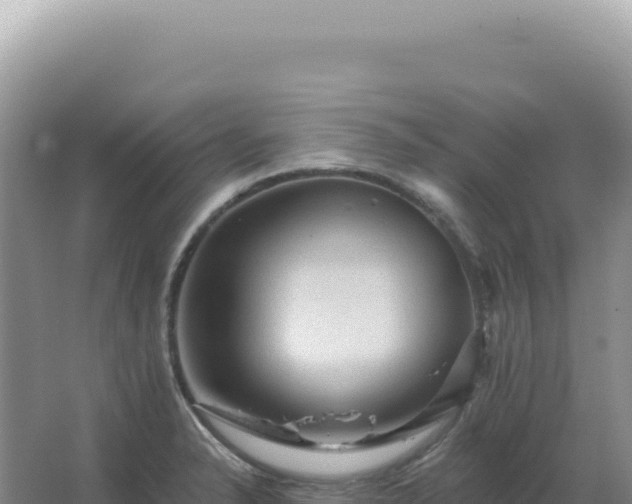 X0000067511326200604150123