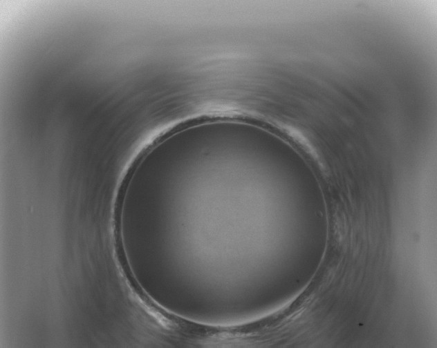 X0000067511327200604150123