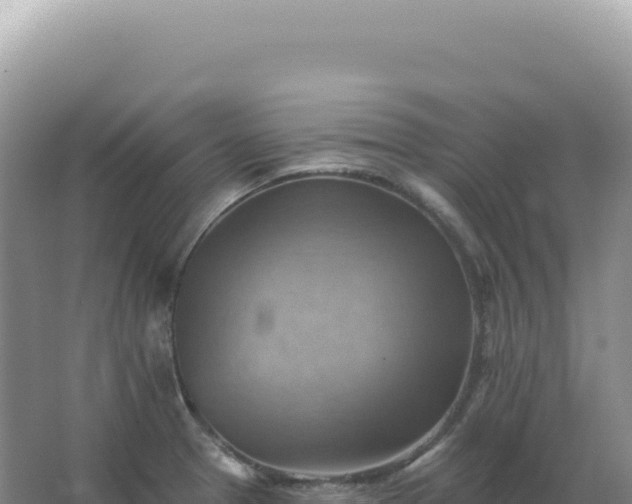 X0000067511329200604150123