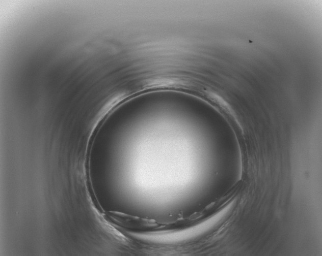 X0000067511330200604150123