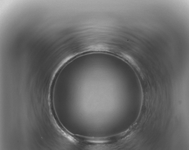 X0000067511331200604150123