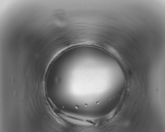 X0000067511332200604150123