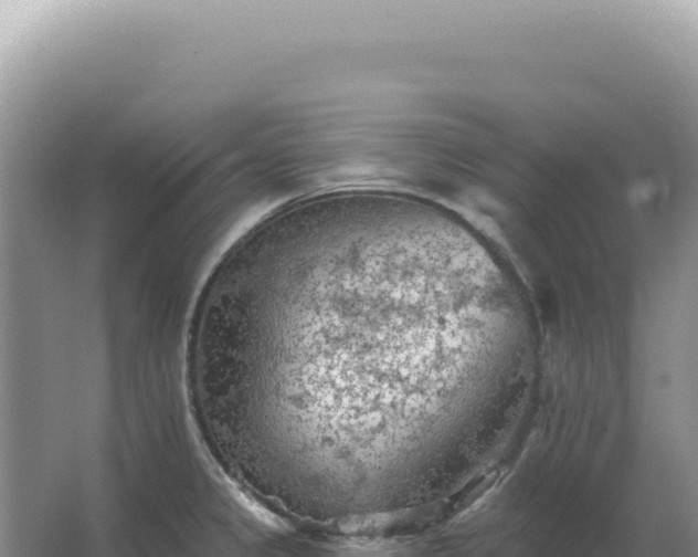 X0000067511333200604150123