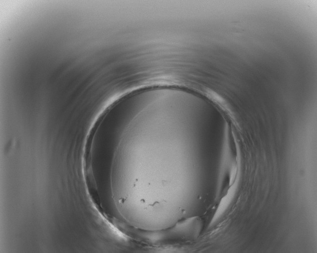 X0000067511334200604150123