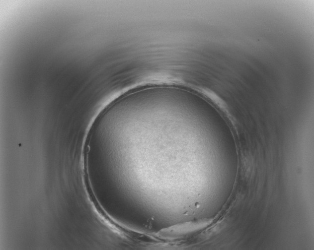 X0000067511335200604150123