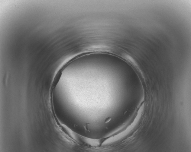 X0000067511336200604150123