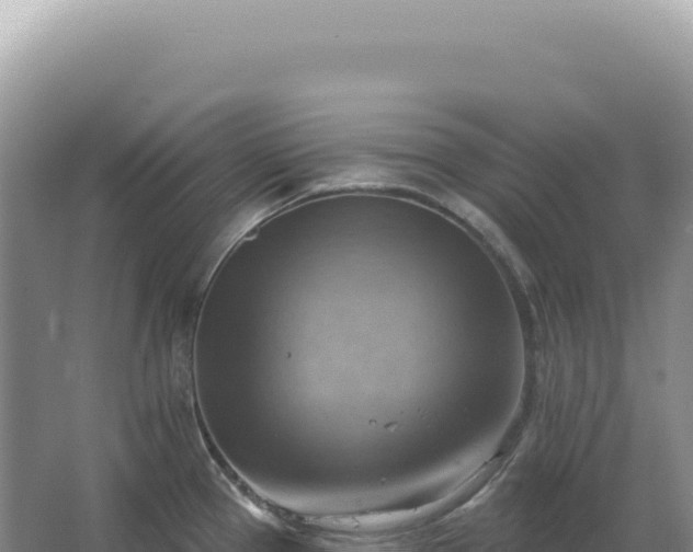 X0000067511337200604150123