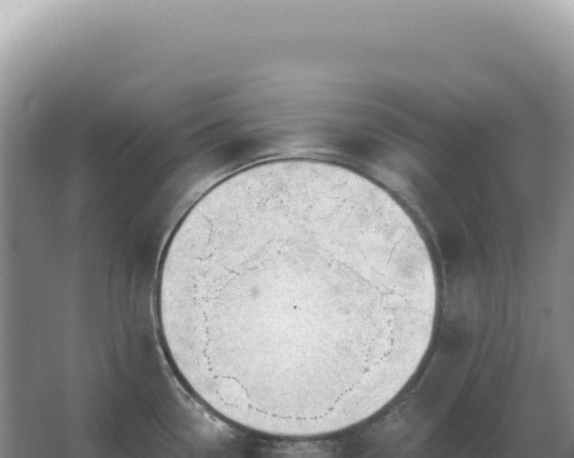 X0000067511338200604150123