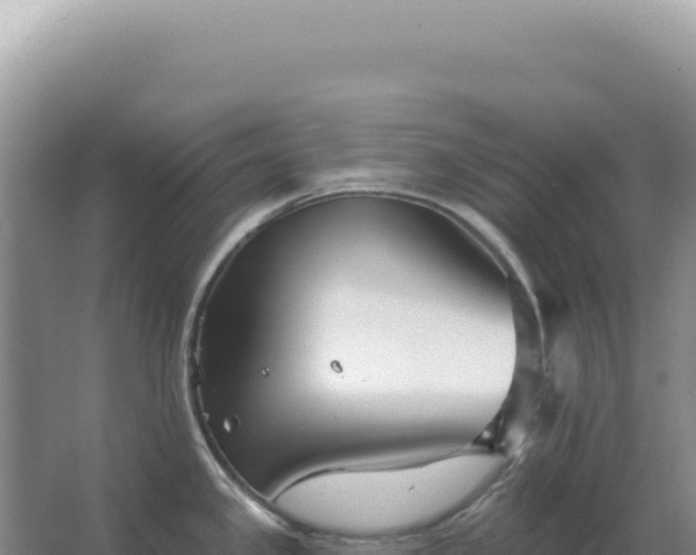 X0000067511341200604150123