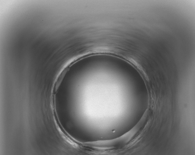 X0000067511342200604150123