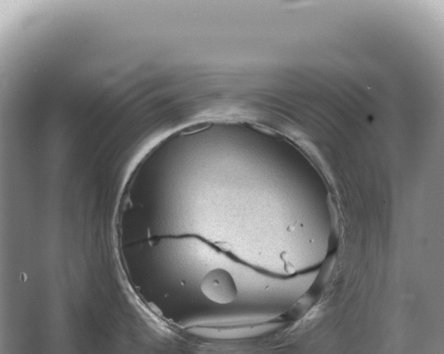 X0000067511344200604150124