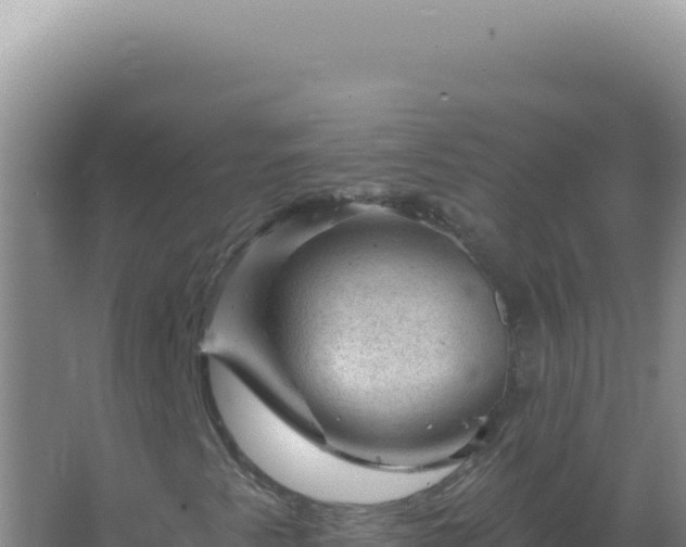 X0000067511345200604150123